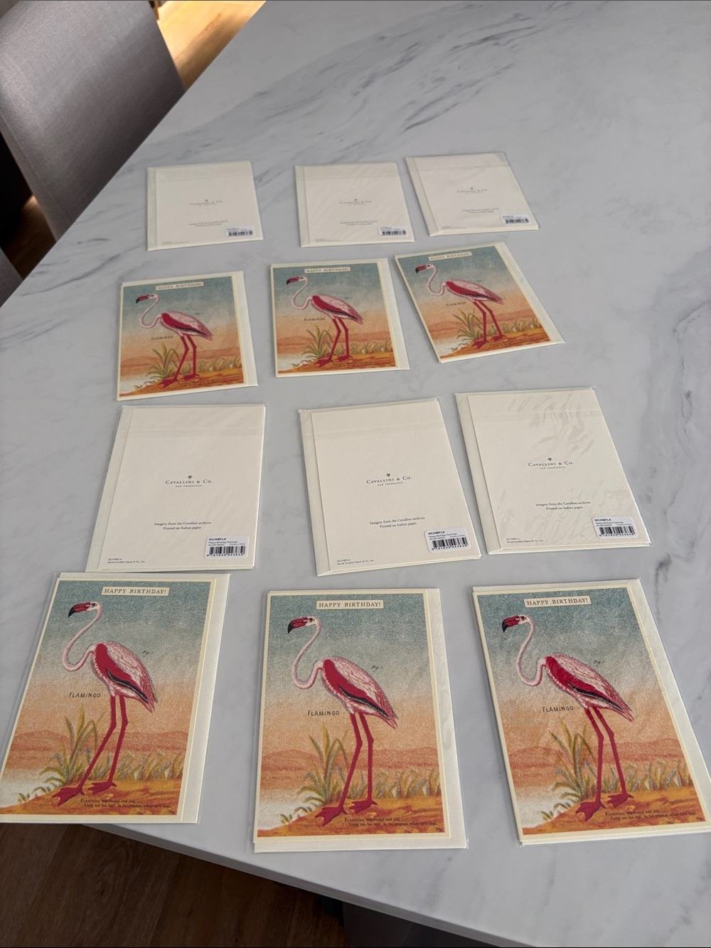 Cavallini & Co - San Francisco- Flamingo Birthday Greeting Cards - Pack of 12